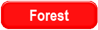 24 Carpets and Flooring Ltd Condor Carpets Forest