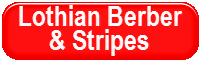 24 Carpets and Flooring Ltd Balta Lothian Berber & Stripes Carpet