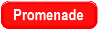 24 Carpets and Flooring Ltd Promenade Carpet